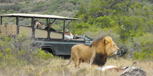 Amakhala Photos 691